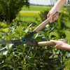Gardena NatureCut sövénynyíró olló