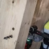 Bosch PRO fa spirálfúrószár (csigafúró) készlet 6 részes, 10,12,14,16,18,20 mm hossz: 450 mm