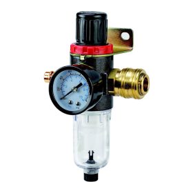   Einhell 1/4-es nyomásszabályzóval ellátott olajleválasztó