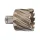 Milwaukee HSS vastag falú magfúró 50x30mm