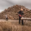 Milwaukee BOLT200 univerzális arcvédő pajzs rácsos