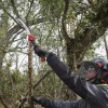 Milwaukee összecsukható gallyazó fűrész 250 mm