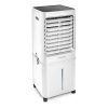TROTEC PAE 61 Aircooler, léghűtő, légnedvesítő, 100W